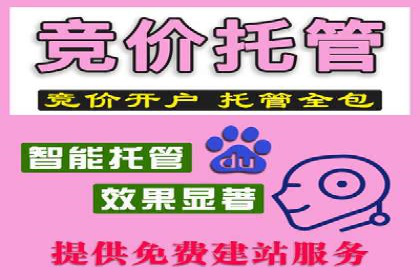 某行业头部企业信息流广告推广全解析